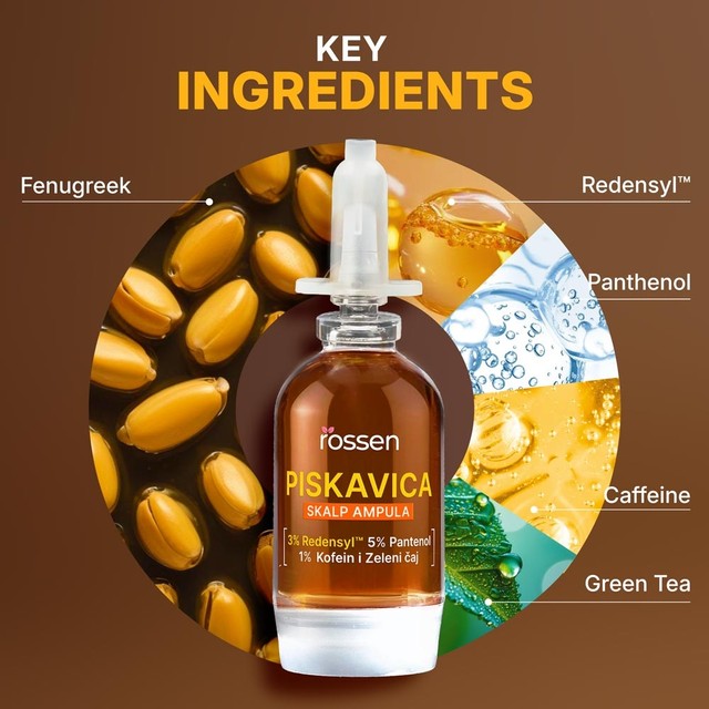 SLAJD-3---KLJUÄNI-SASTOJCI--ENG