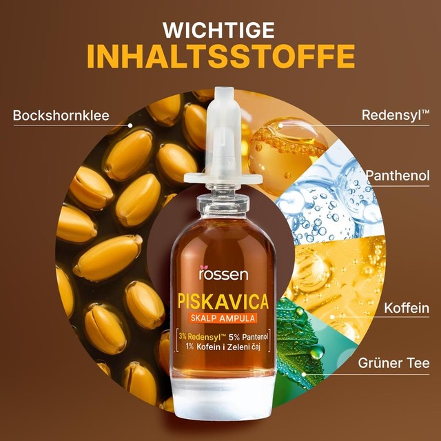 SLAJD-3---KLJUÄNI-SASTOJCI---DE